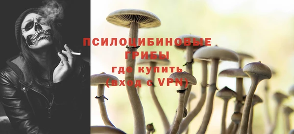 молекула духа Алзамай