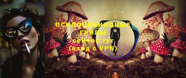 молекула духа Алзамай