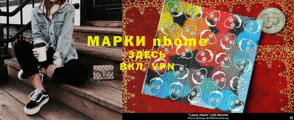 индика Пестово